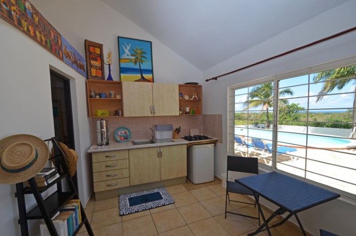 118571-1923_apartmentpoolcustom