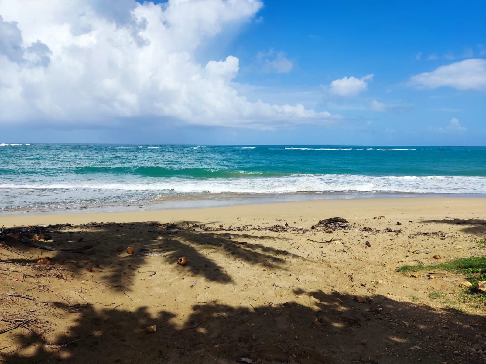 131124-whatsapp_image_2021_12_14_at_12.35.27_pm