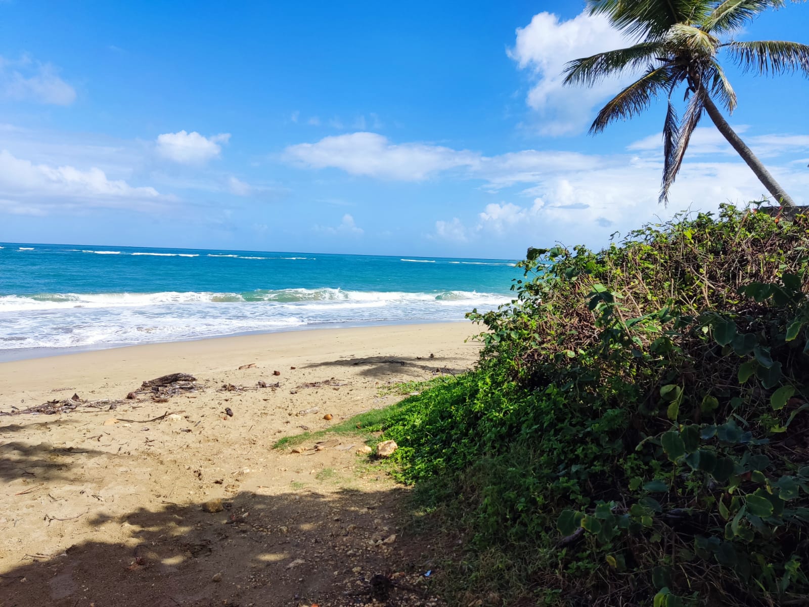 131124-whatsapp_image_2021_12_14_at_12.35.27_pm__1_