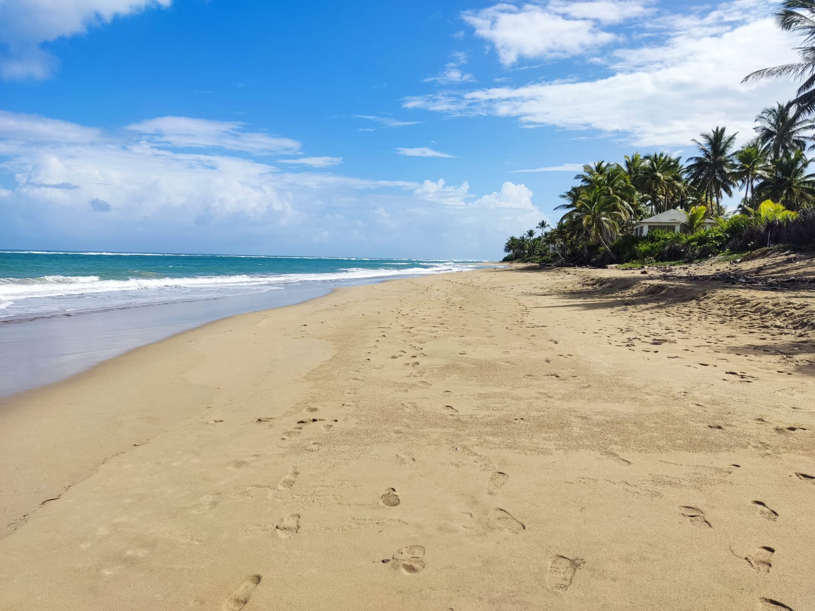 131124-whatsapp_image_2021_12_14_at_12.35.28_pm__1_