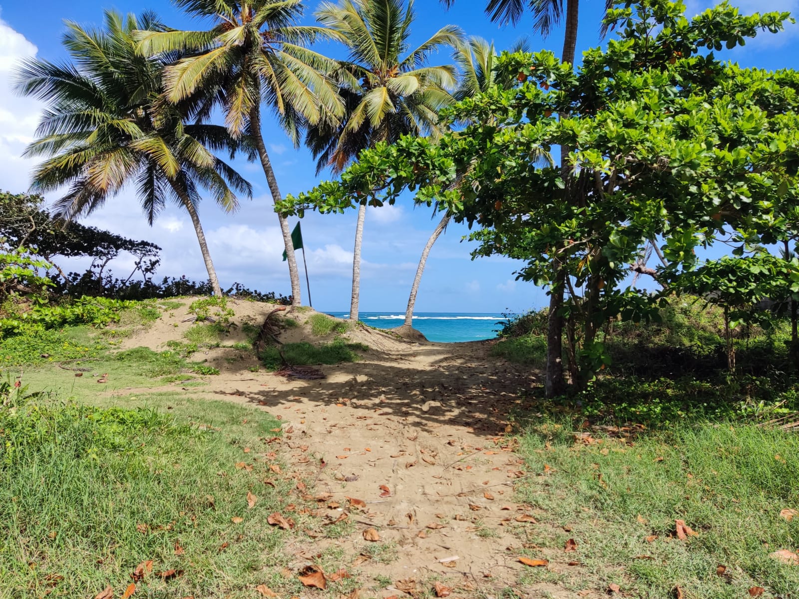 131124-whatsapp_image_2021_12_14_at_12.35.28_pm__2_