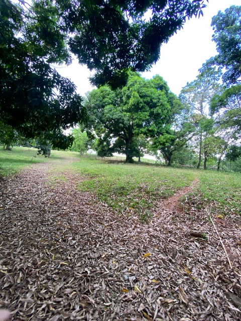 136217-image4