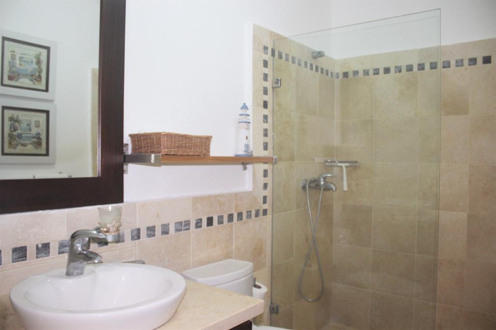 137076-292246b2_812f_4c31_9b31_476f39891448