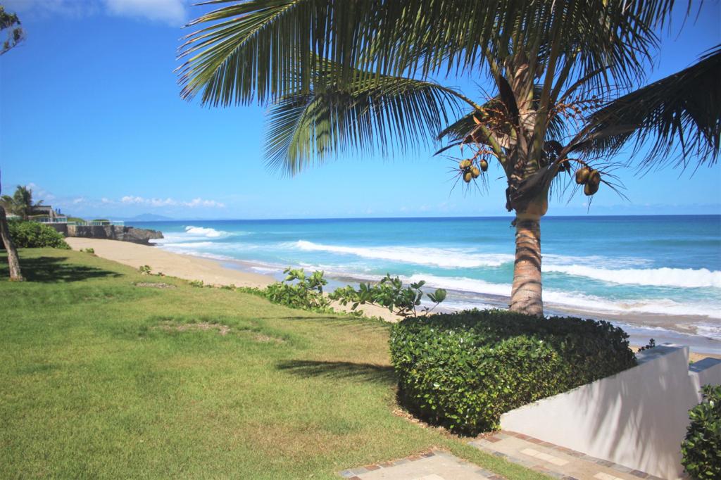 137076-a5402e83_826d_4d17_9eb9_61487edf809c