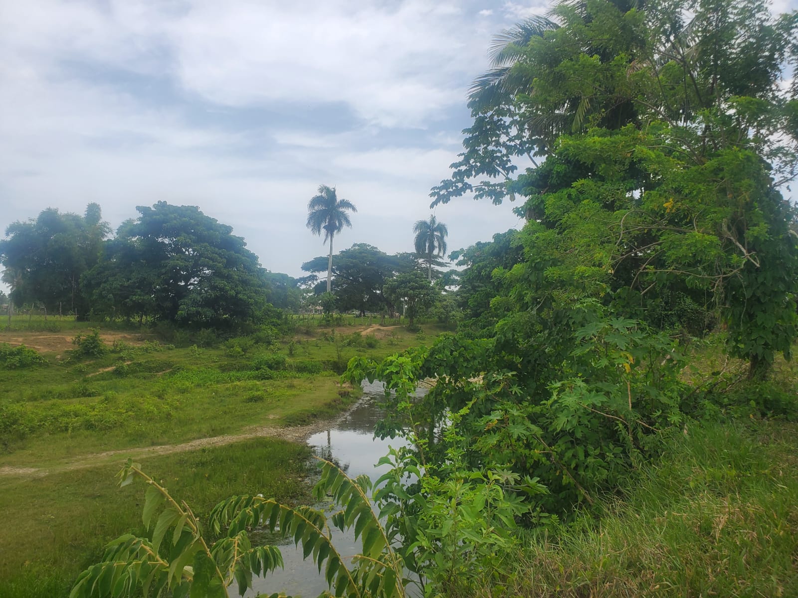 138620-whatsapp_image_2023_07_26_at_15.36.34__1_