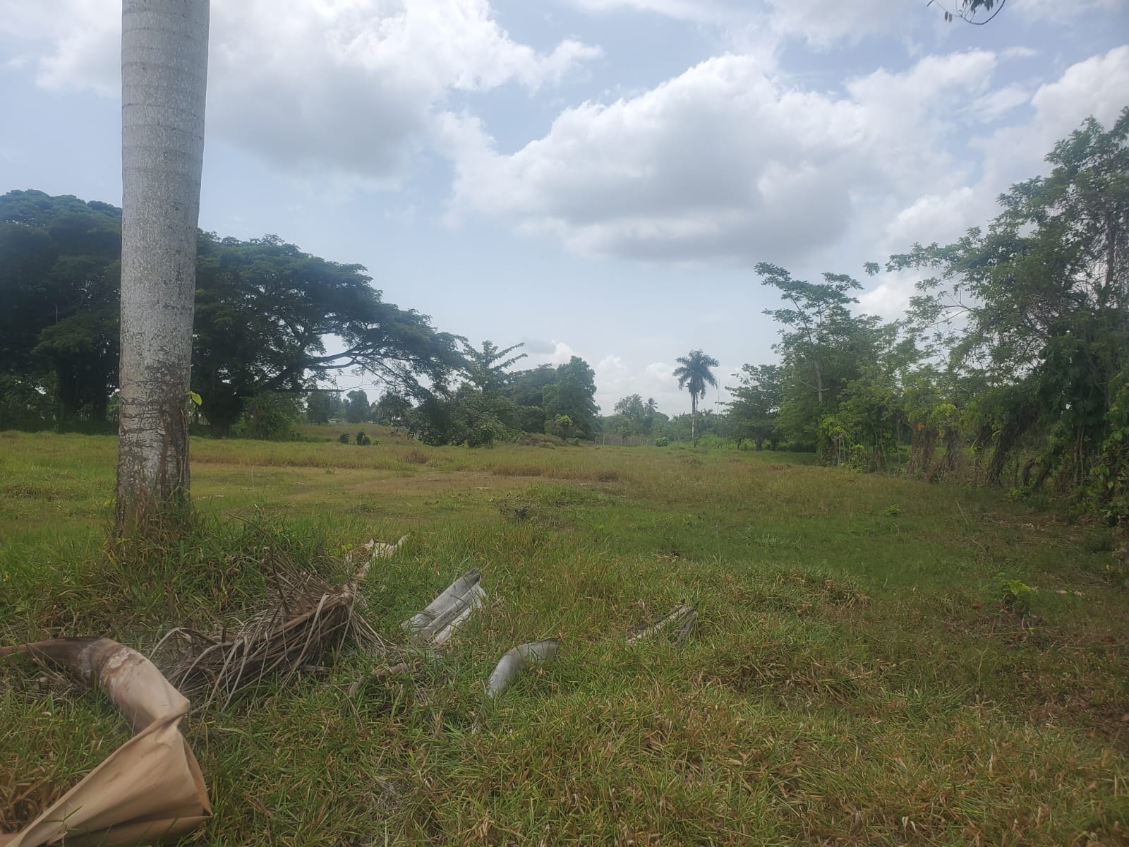 138621-whatsapp_image_2023_07_26_at_15.36.35