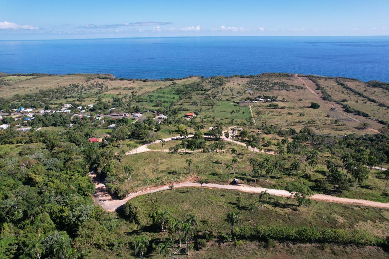 143460-whatsapp_image_2024_02_18_at_16.20.45