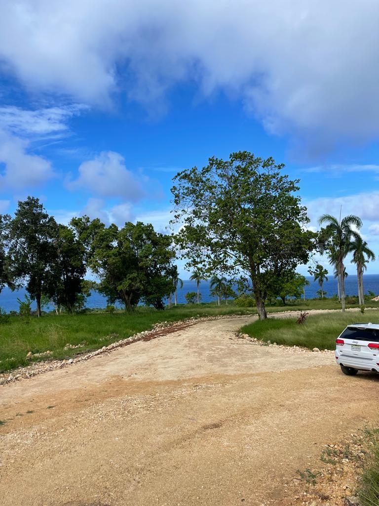 143460-whatsapp_image_2024_02_18_at_16.20.46__3_