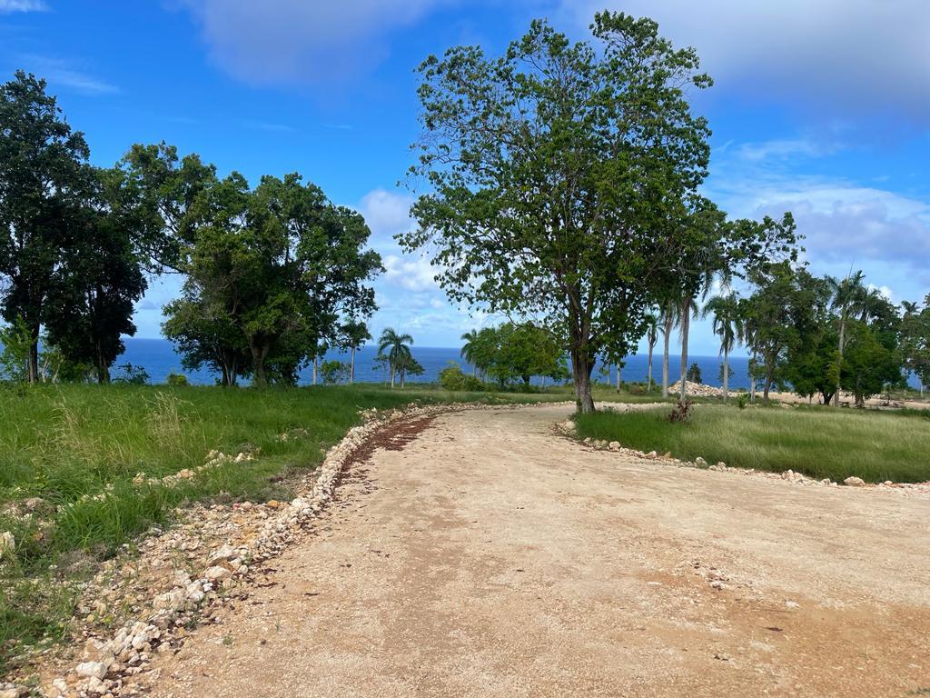 143460-whatsapp_image_2024_02_18_at_16.20.46__4_