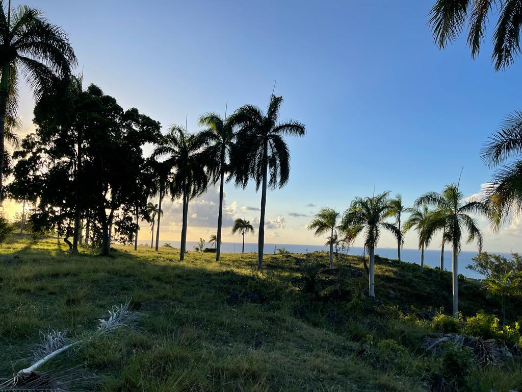 143460-whatsapp_image_2024_02_18_at_16.20.46__5_