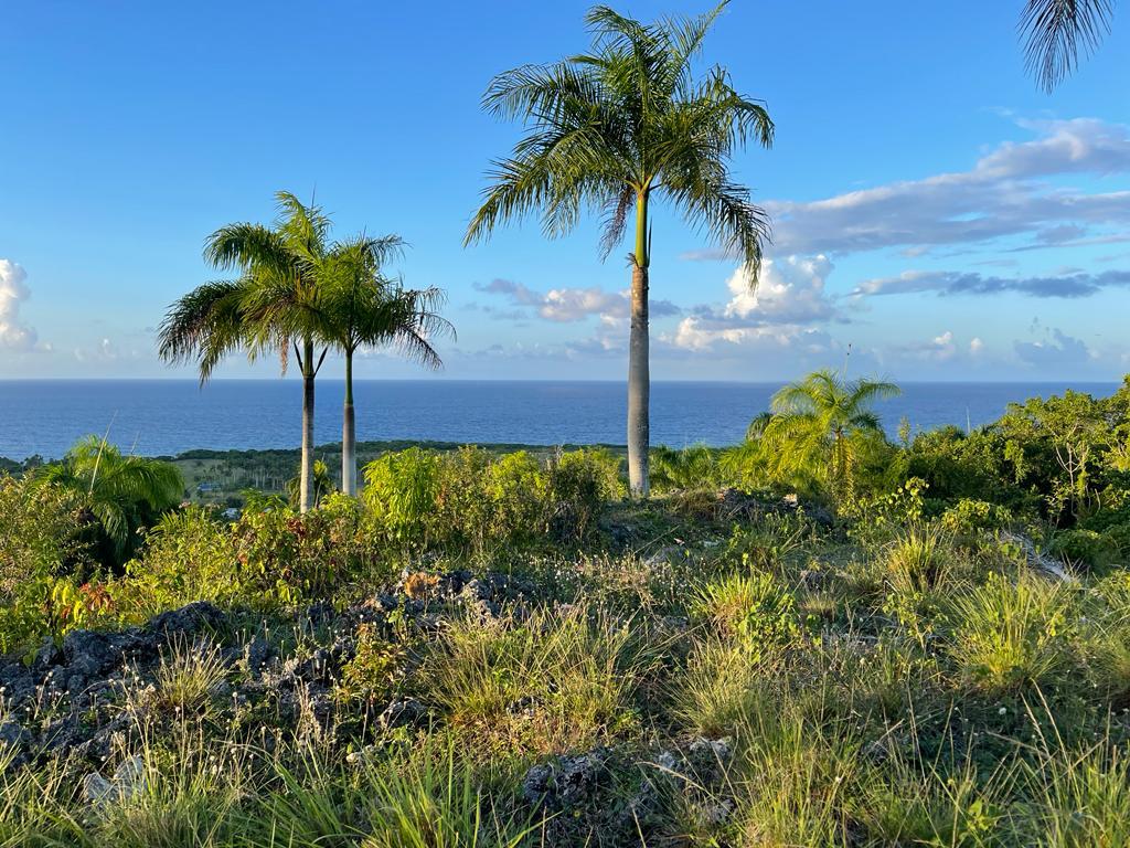 143460-whatsapp_image_2024_02_18_at_16.20.46__7_