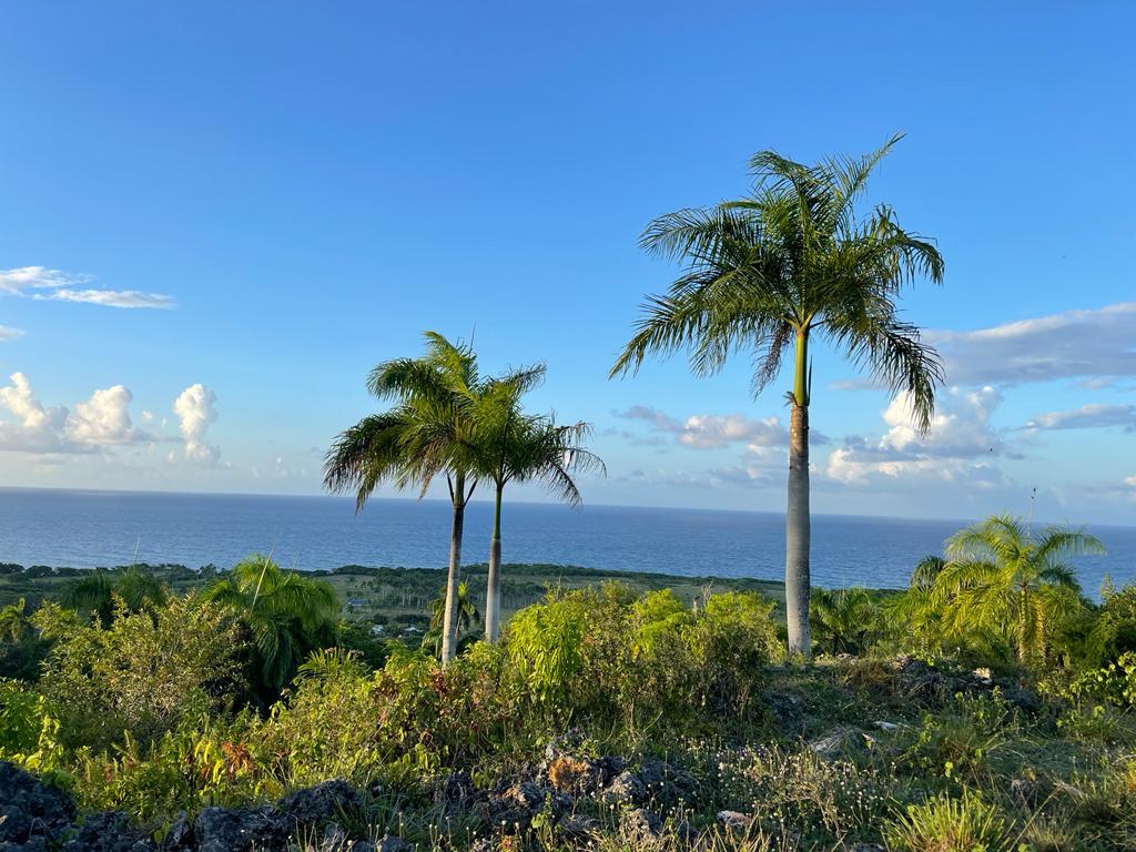 143460-whatsapp_image_2024_02_18_at_16.20.46__8_