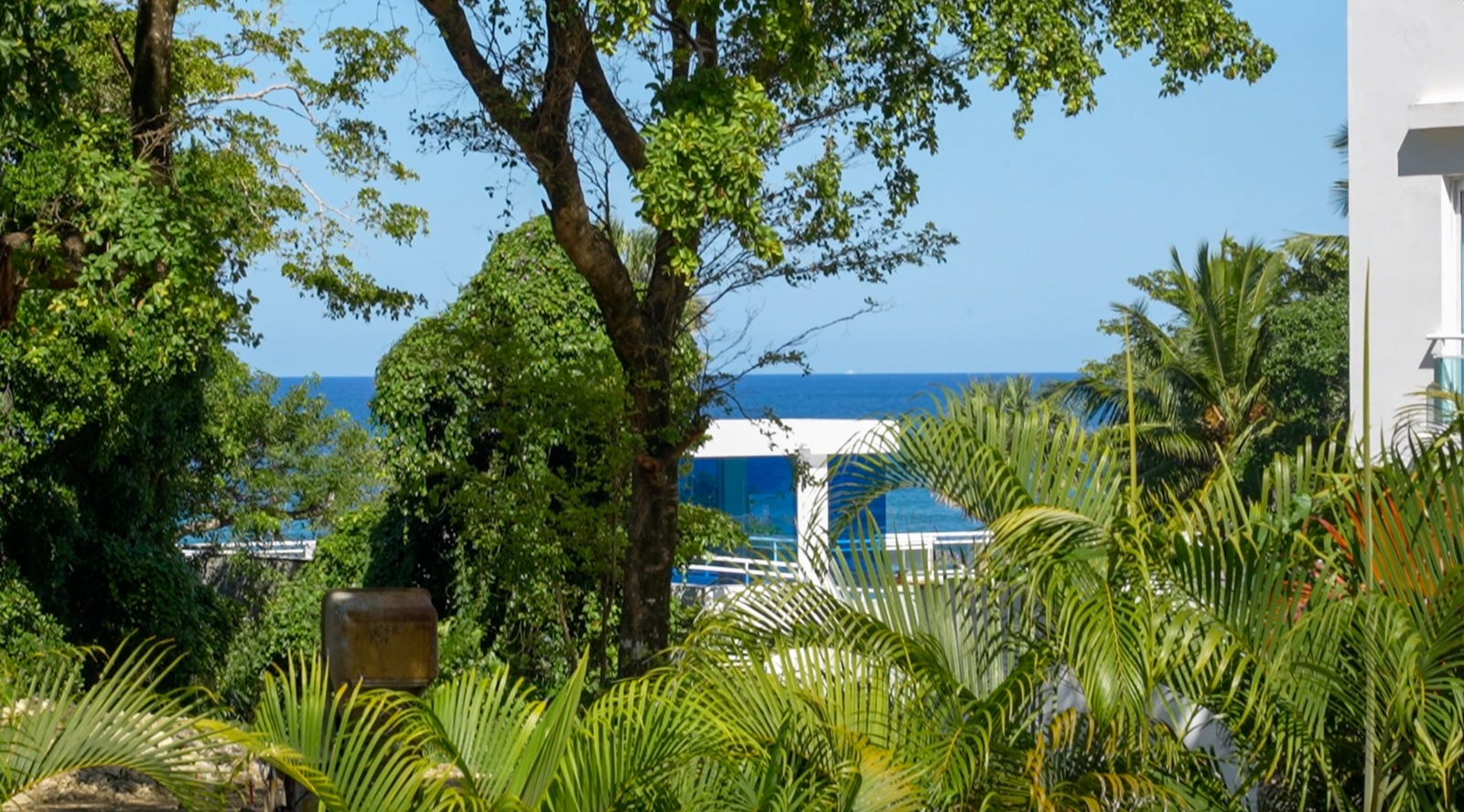 143566-6c73fa1a_7d9a_401b_99ab_ee98bc790675