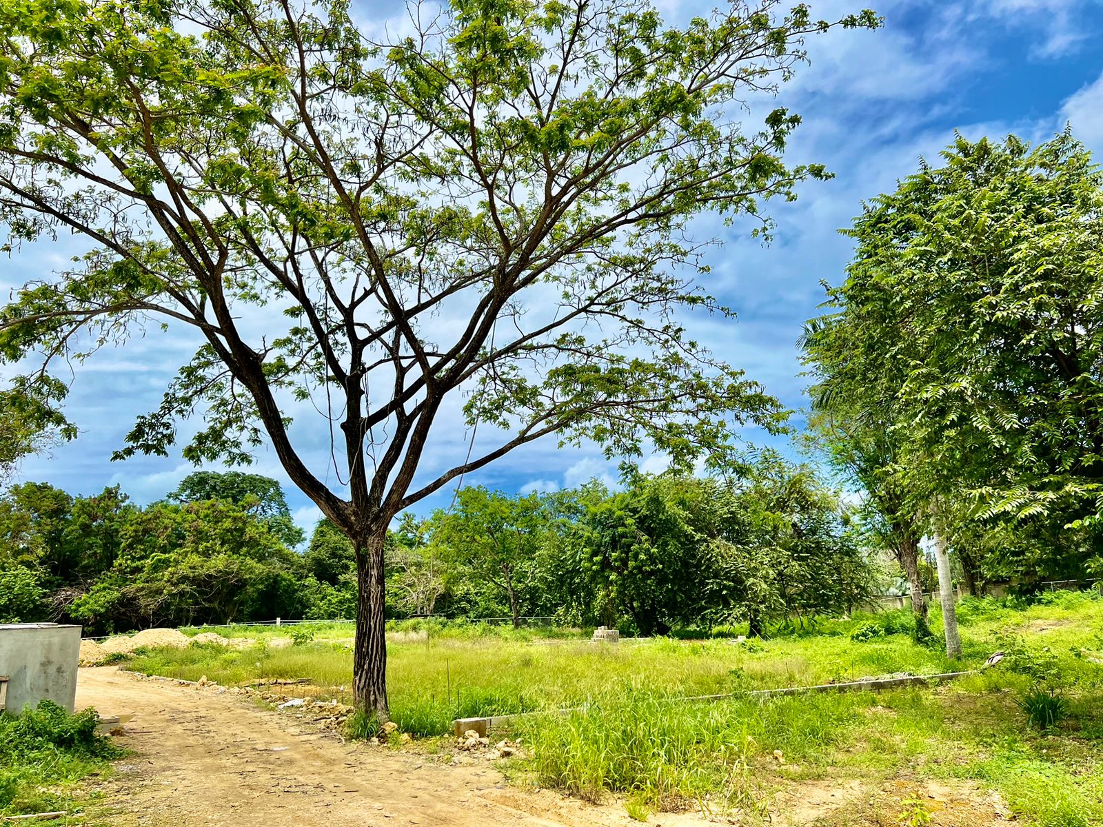 144636-whatsapp_image_2024_04_30_at_13.06.49