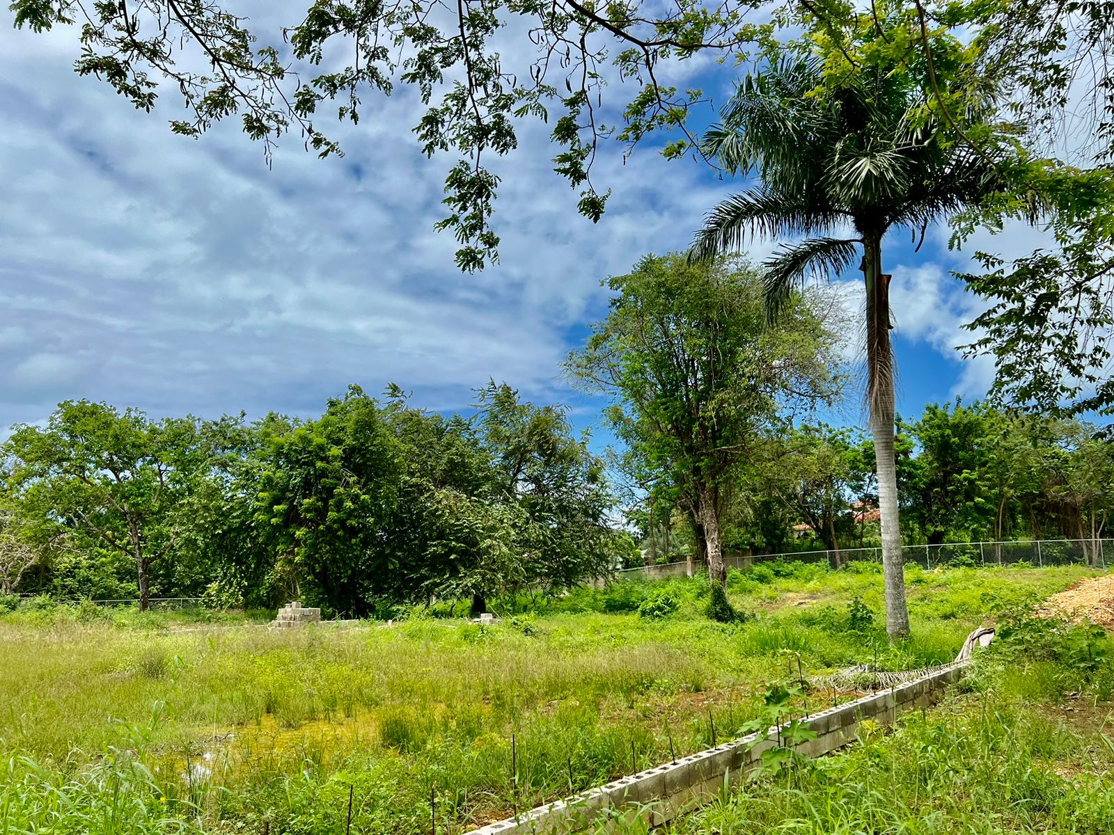 144636-whatsapp_image_2024_04_30_at_13.06.50