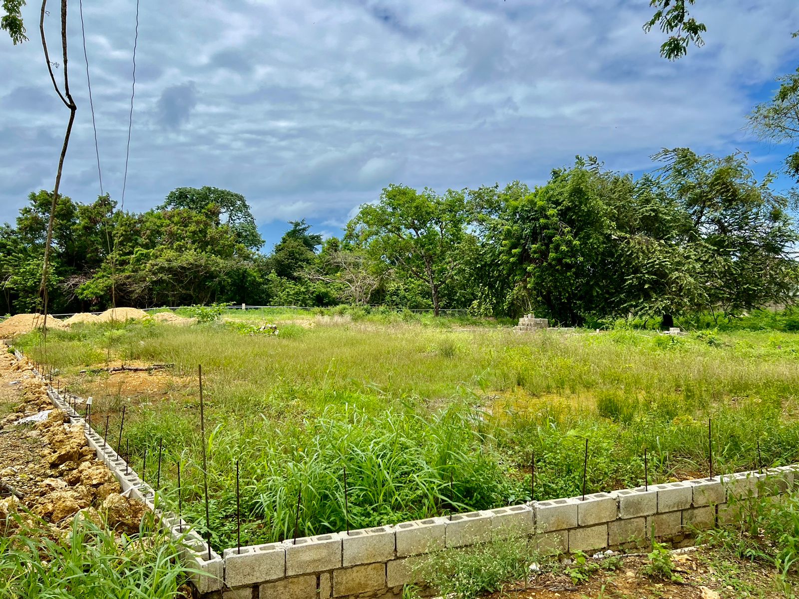 144636-whatsapp_image_2024_04_30_at_13.06.50__1_