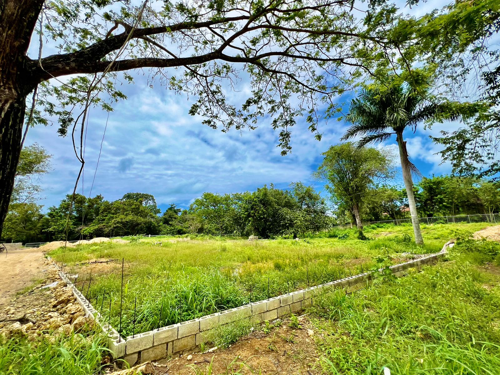 144636-whatsapp_image_2024_04_30_at_13.06.50__2_