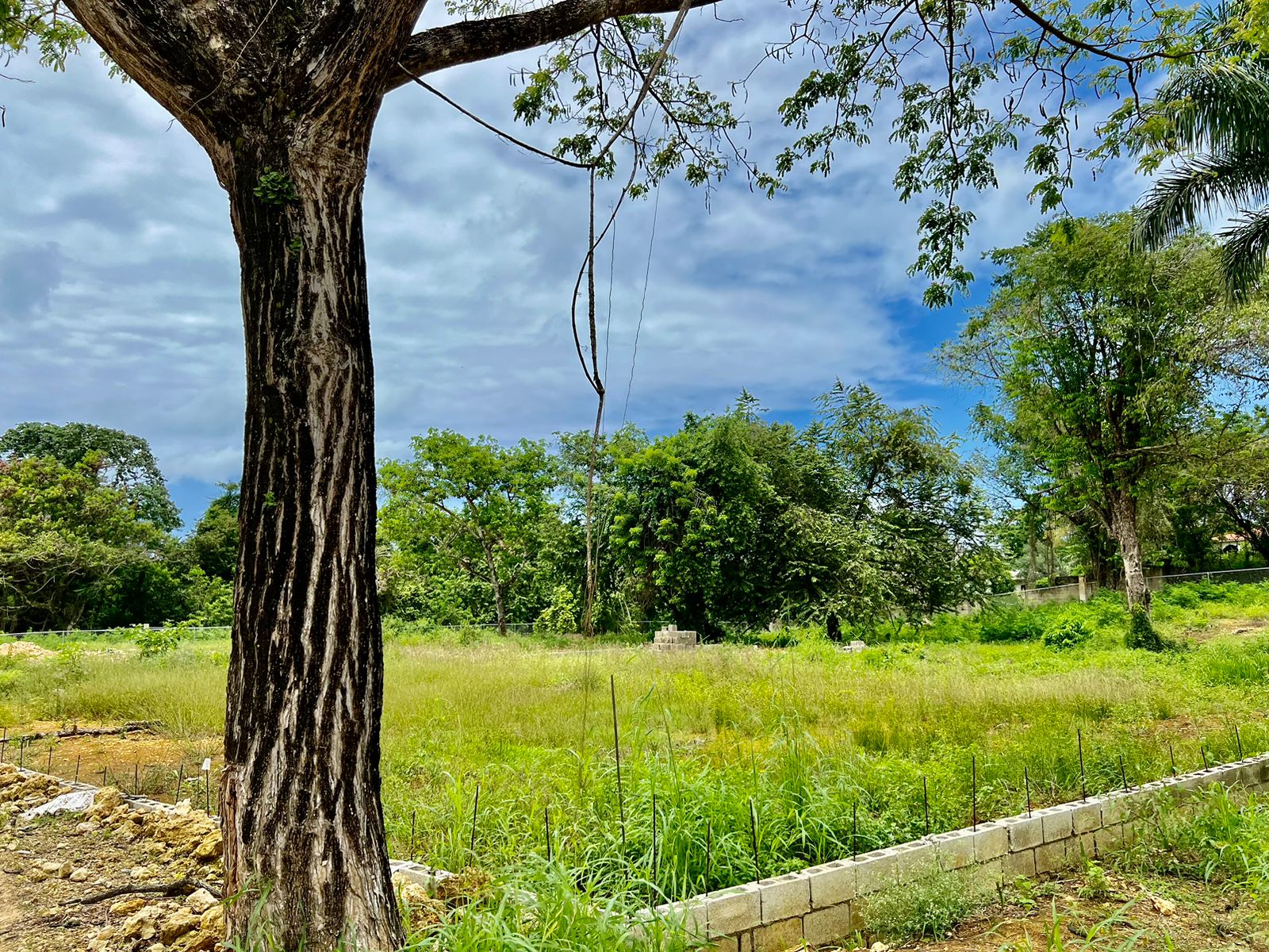 144636-whatsapp_image_2024_04_30_at_13.06.50__3_