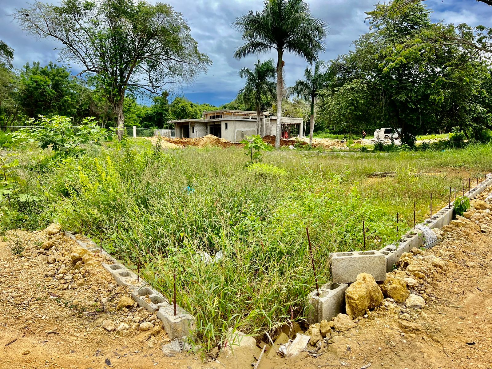 144636-whatsapp_image_2024_04_30_at_13.06.52