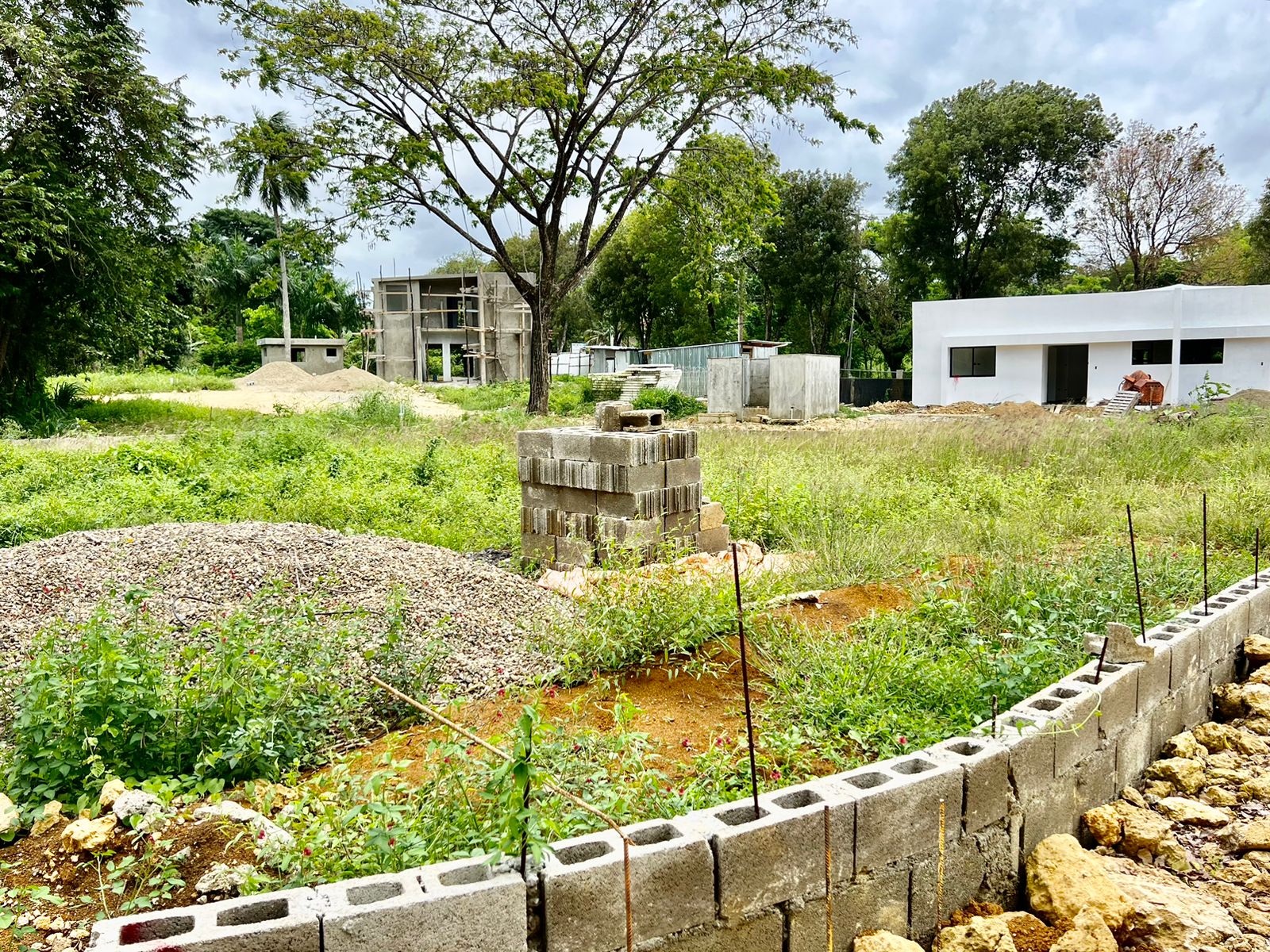 144636-whatsapp_image_2024_04_30_at_13.06.52__1_