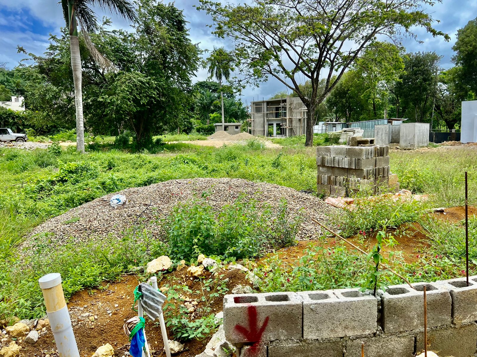 144636-whatsapp_image_2024_04_30_at_13.06.53