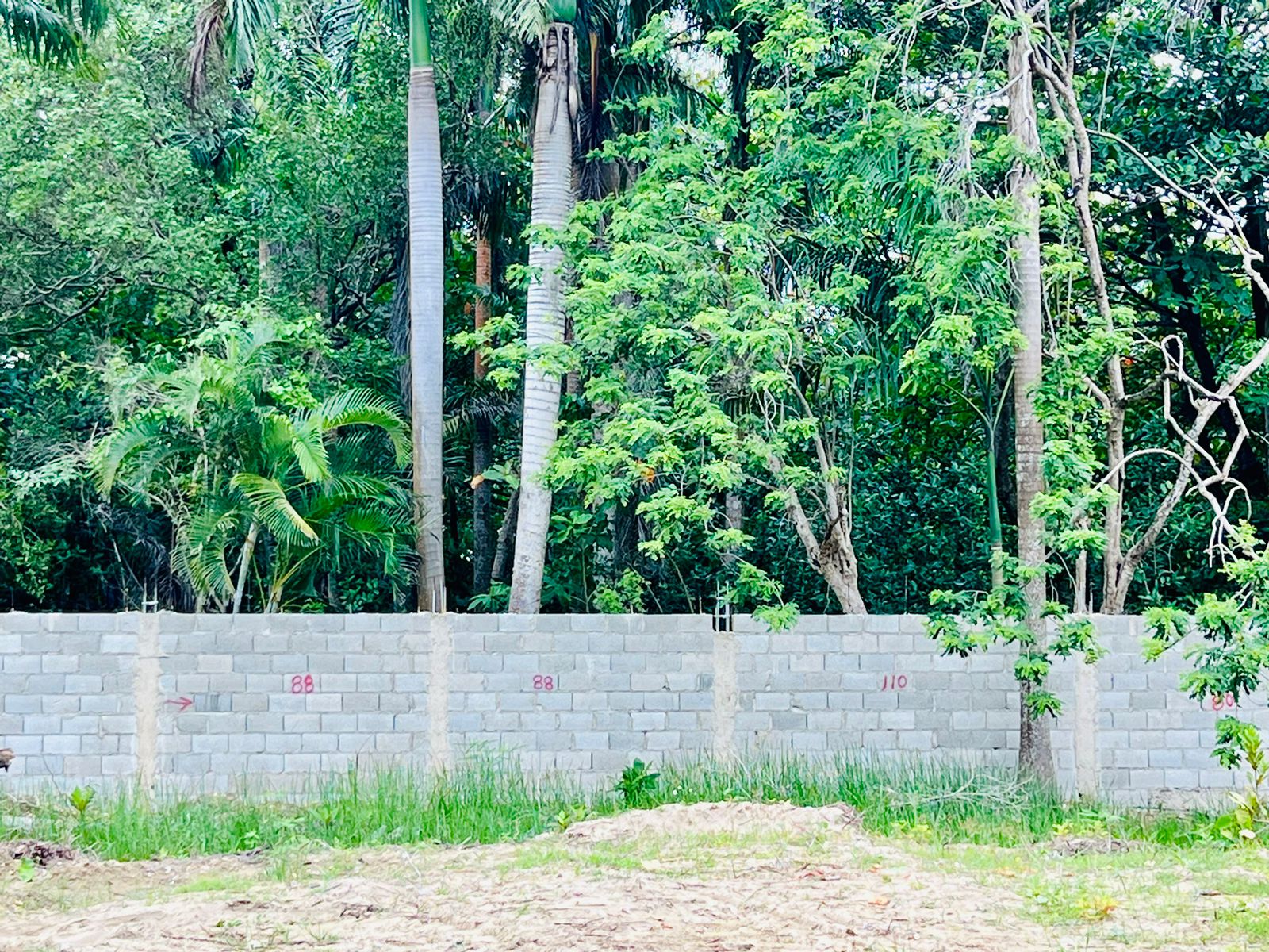 144928-whatsapp_image_2024_05_24_at_13.26.24