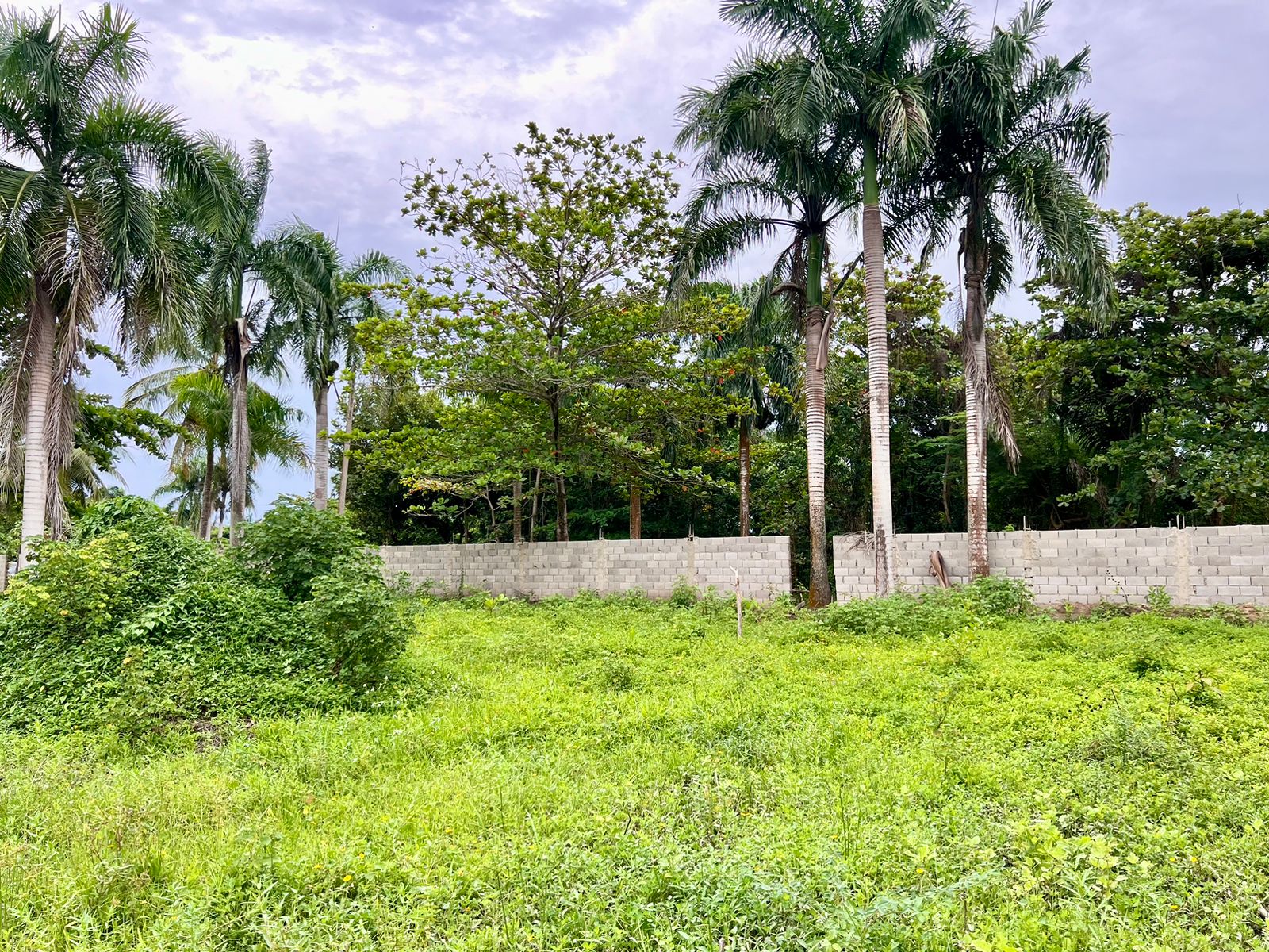 144928-whatsapp_image_2024_05_24_at_13.26.25