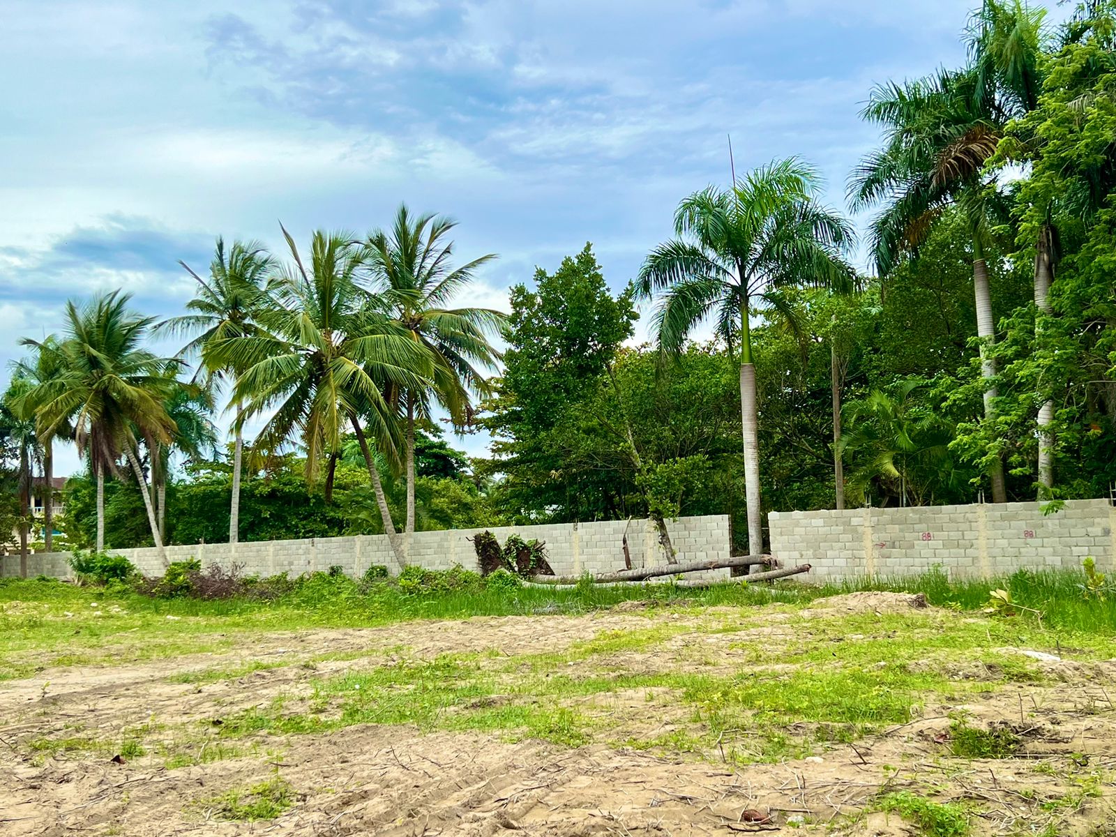 144928-whatsapp_image_2024_05_24_at_13.26.25__1_