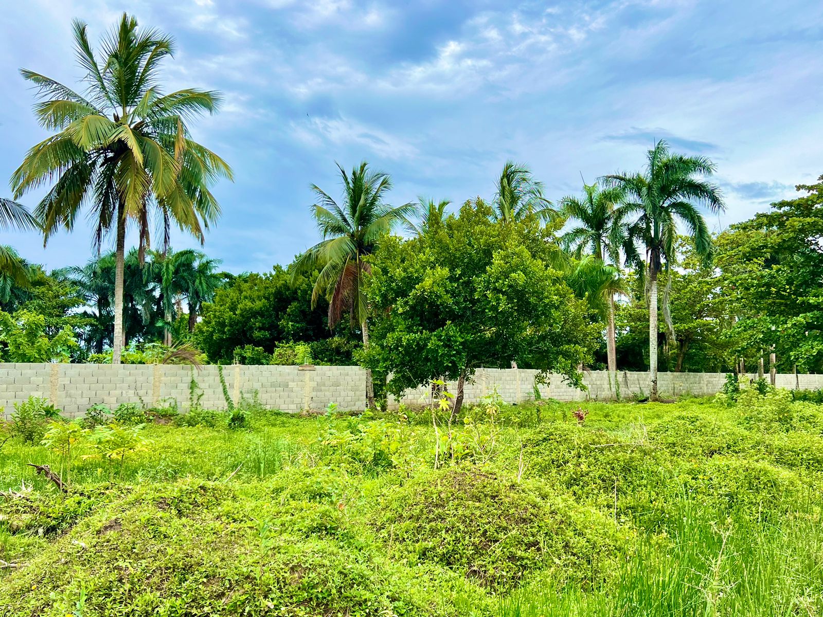 144928-whatsapp_image_2024_05_24_at_13.26.26