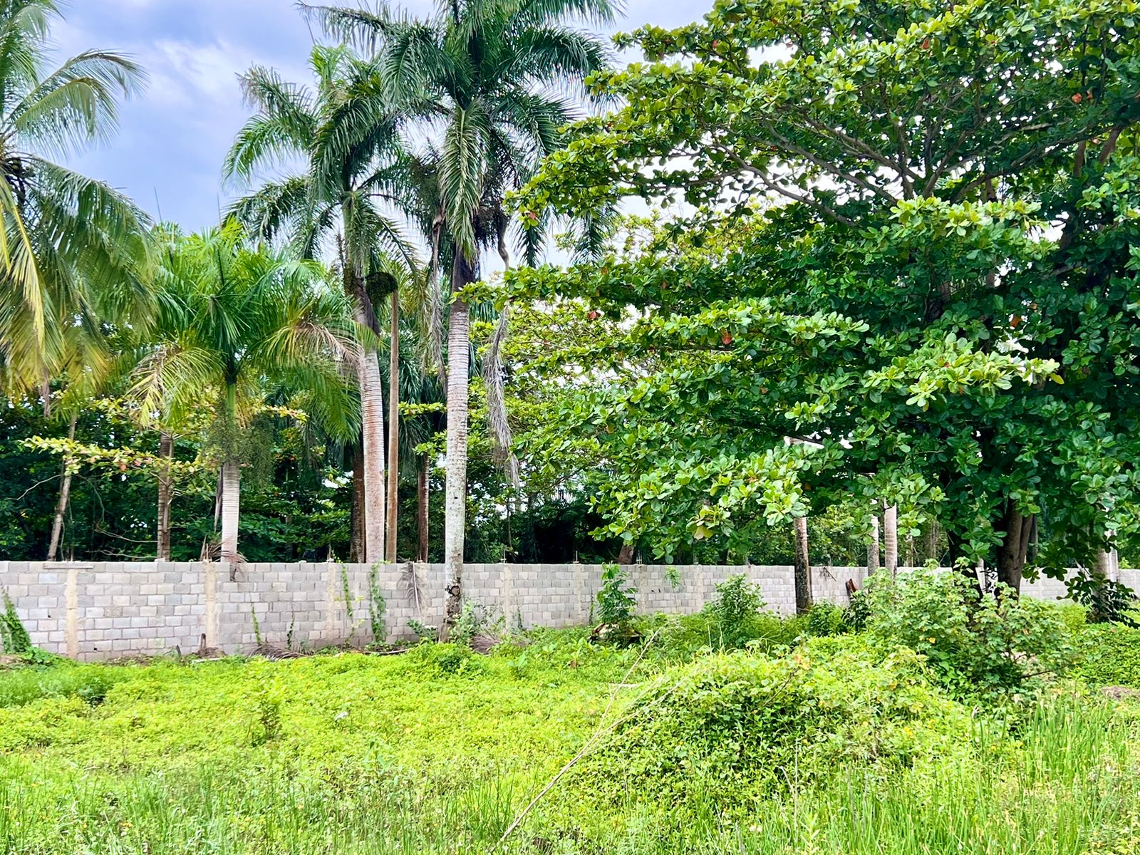 144928-whatsapp_image_2024_05_24_at_13.26.26__1_