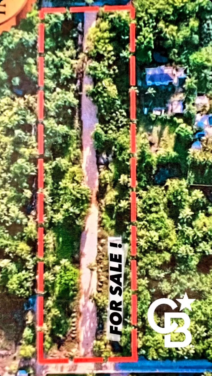 144928-whatsapp_image_2024_05_24_at_13.26.27__1_