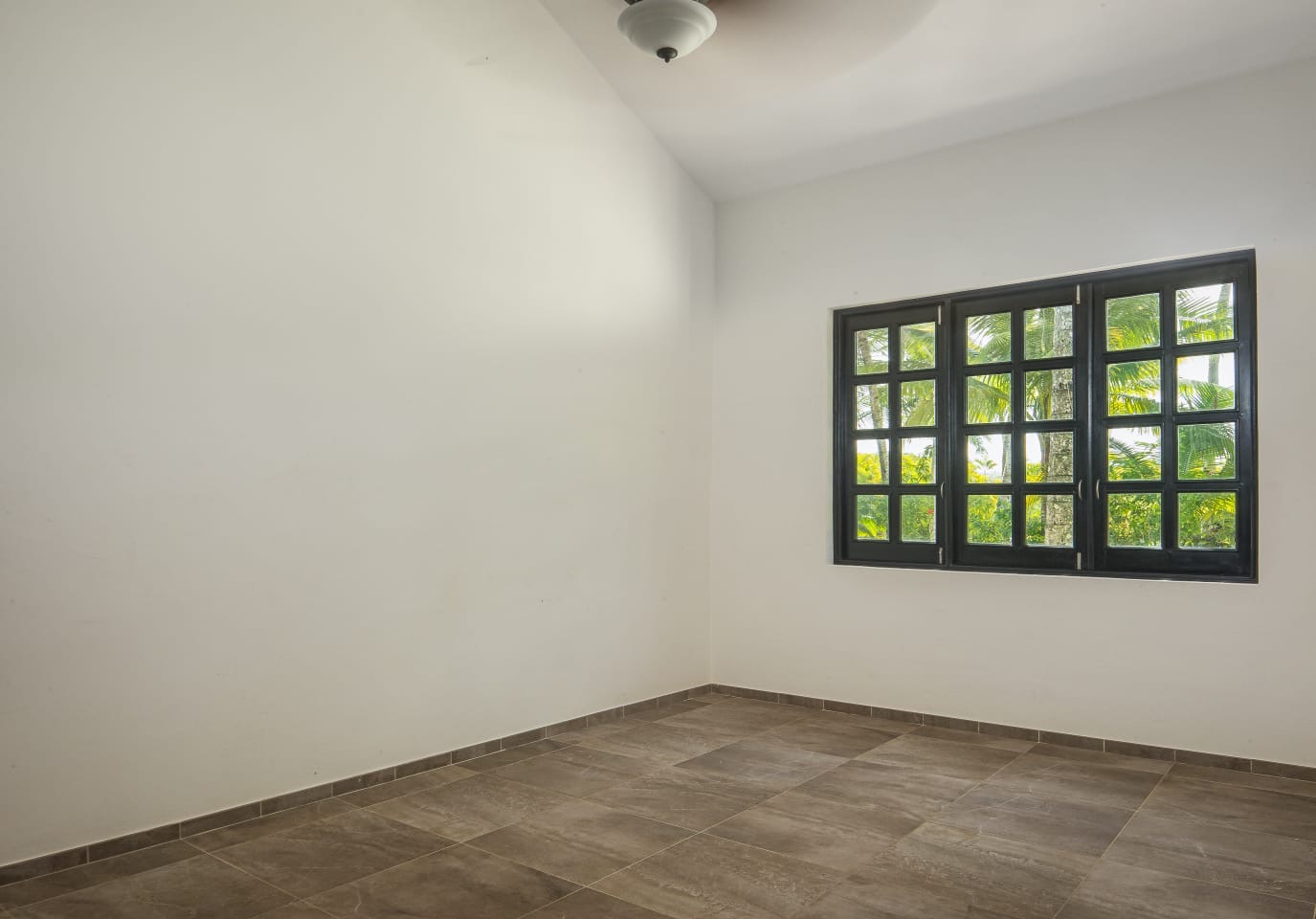 153073-98583366_697d_4492_abbf_7b7d7bb2db82