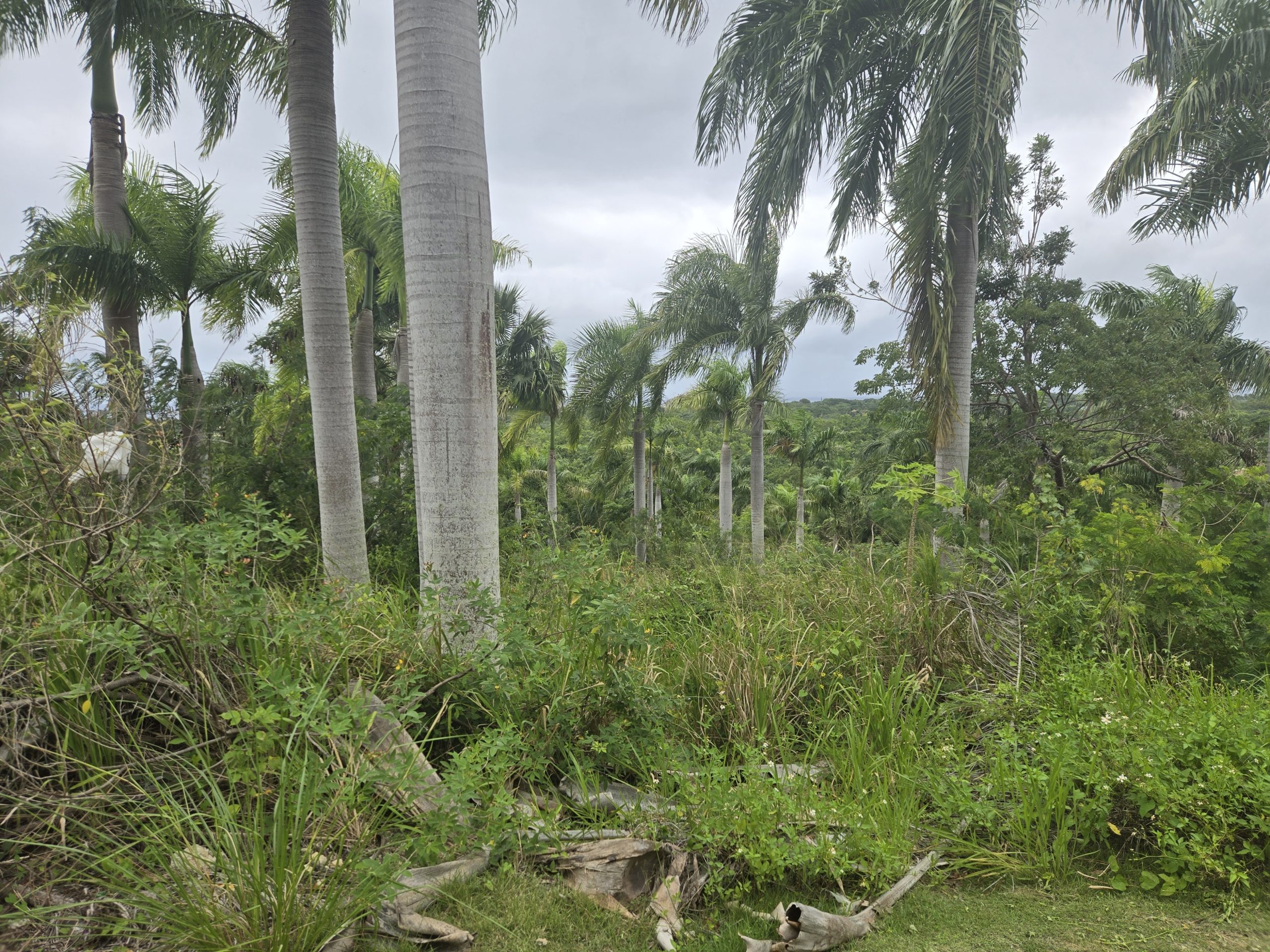 154189-20251213_141509