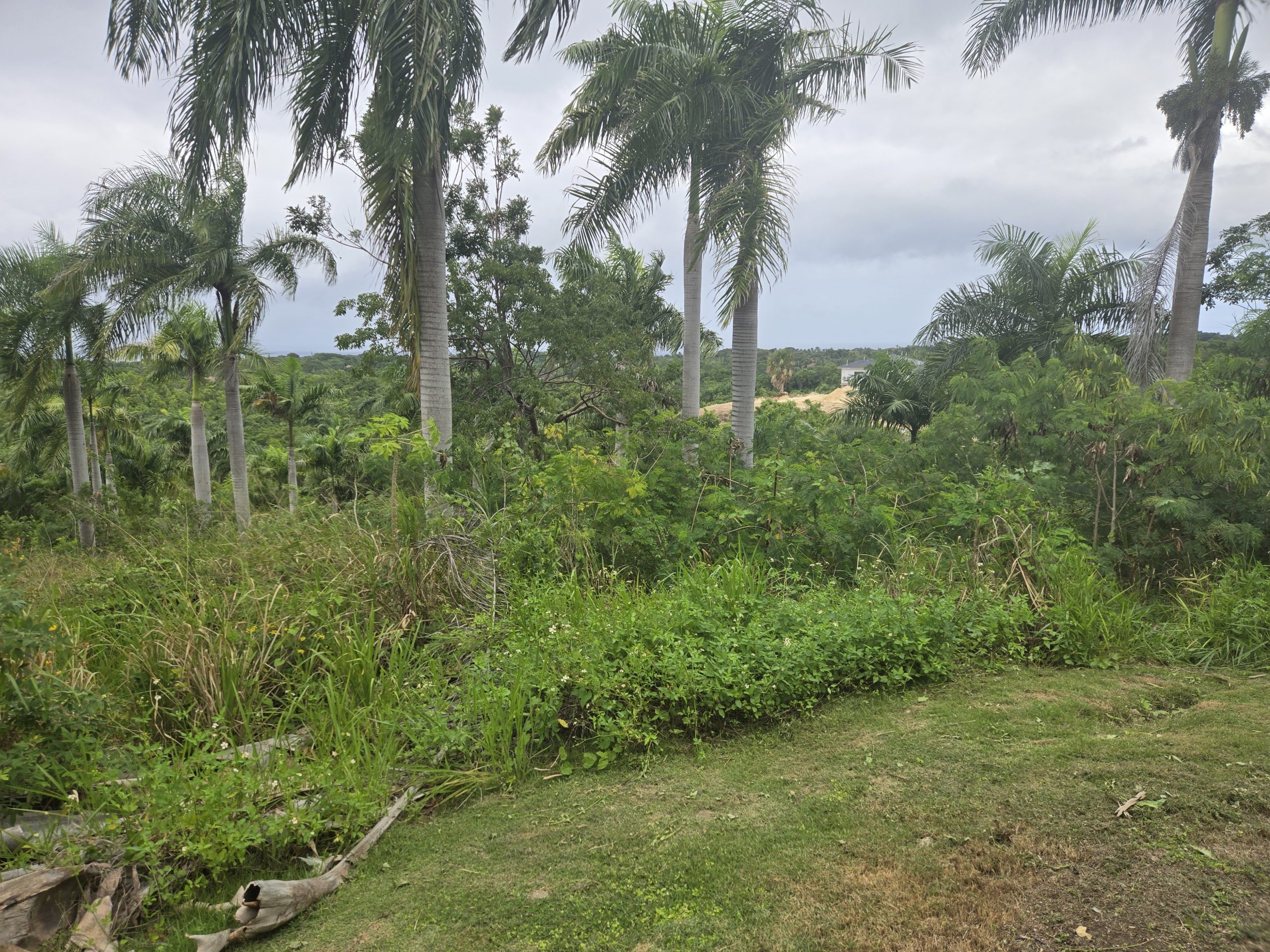 154189-20251213_141516