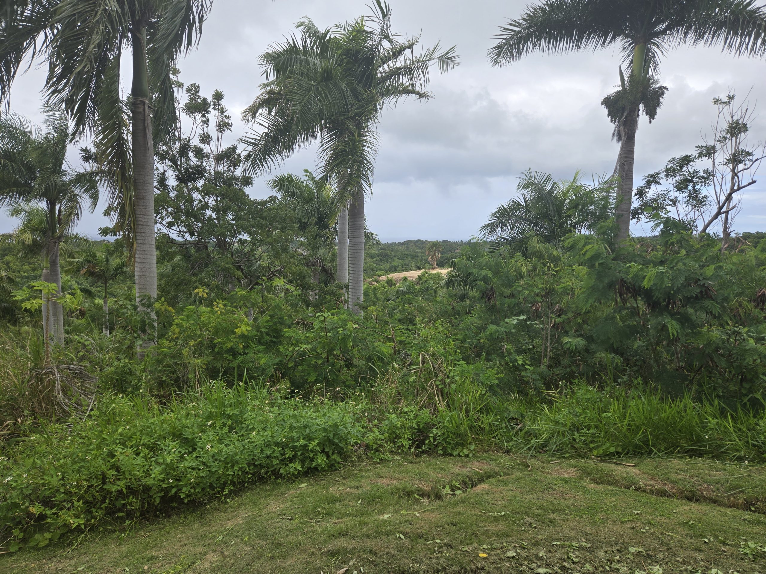 154189-20251213_141803