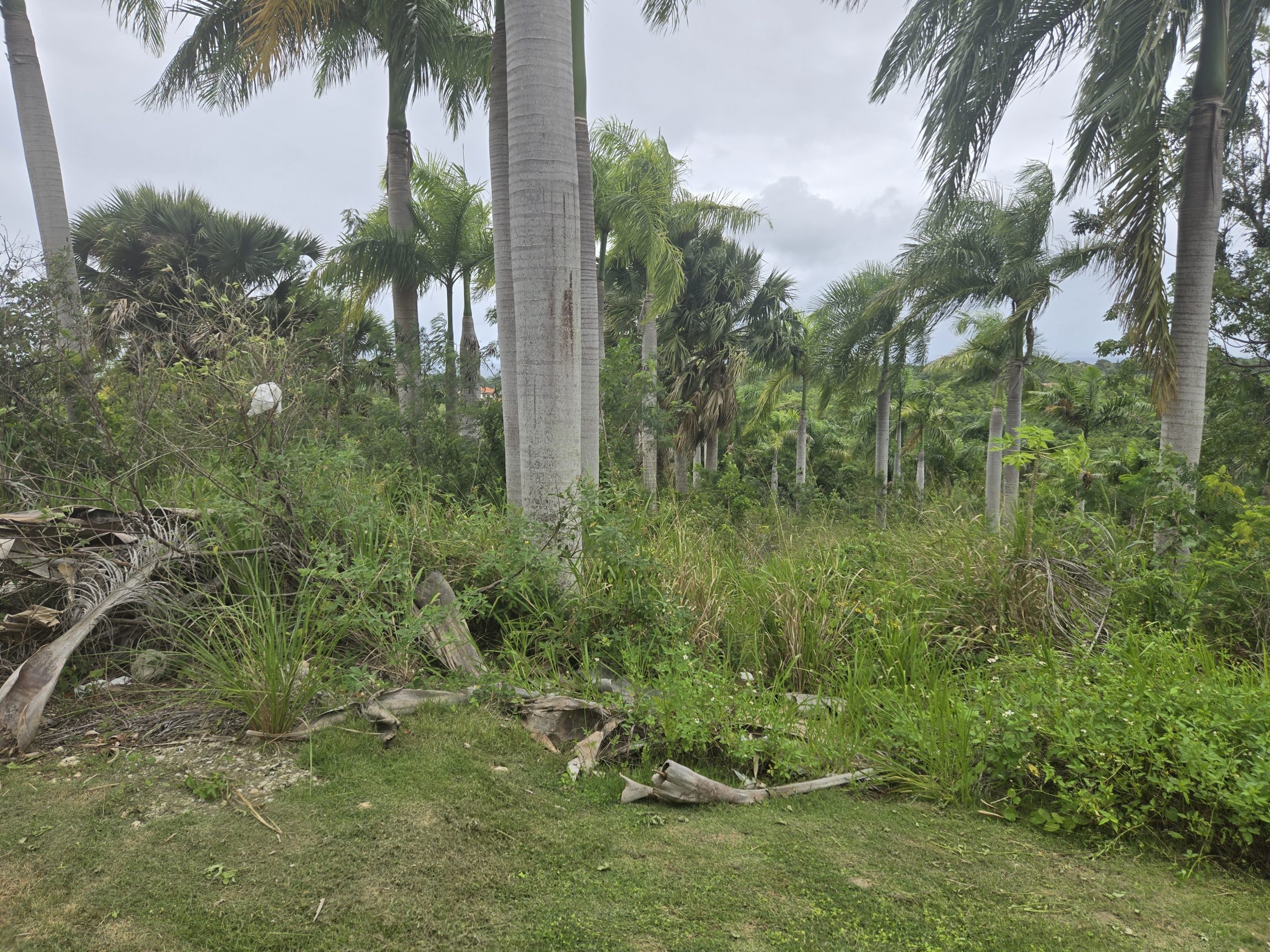 154189-20251213_141806