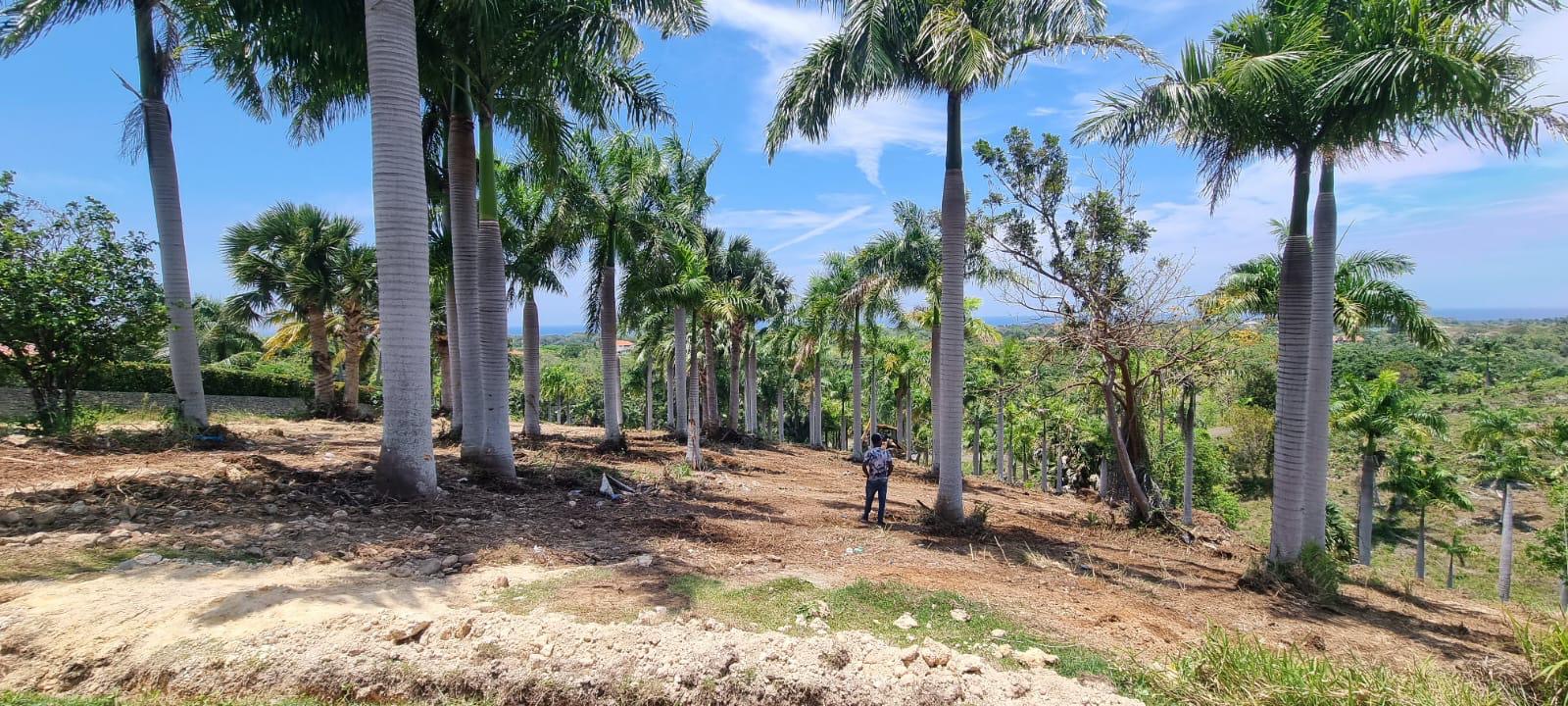 154189-f40681b5_6d95_457e_b543_18deaa8bc16d