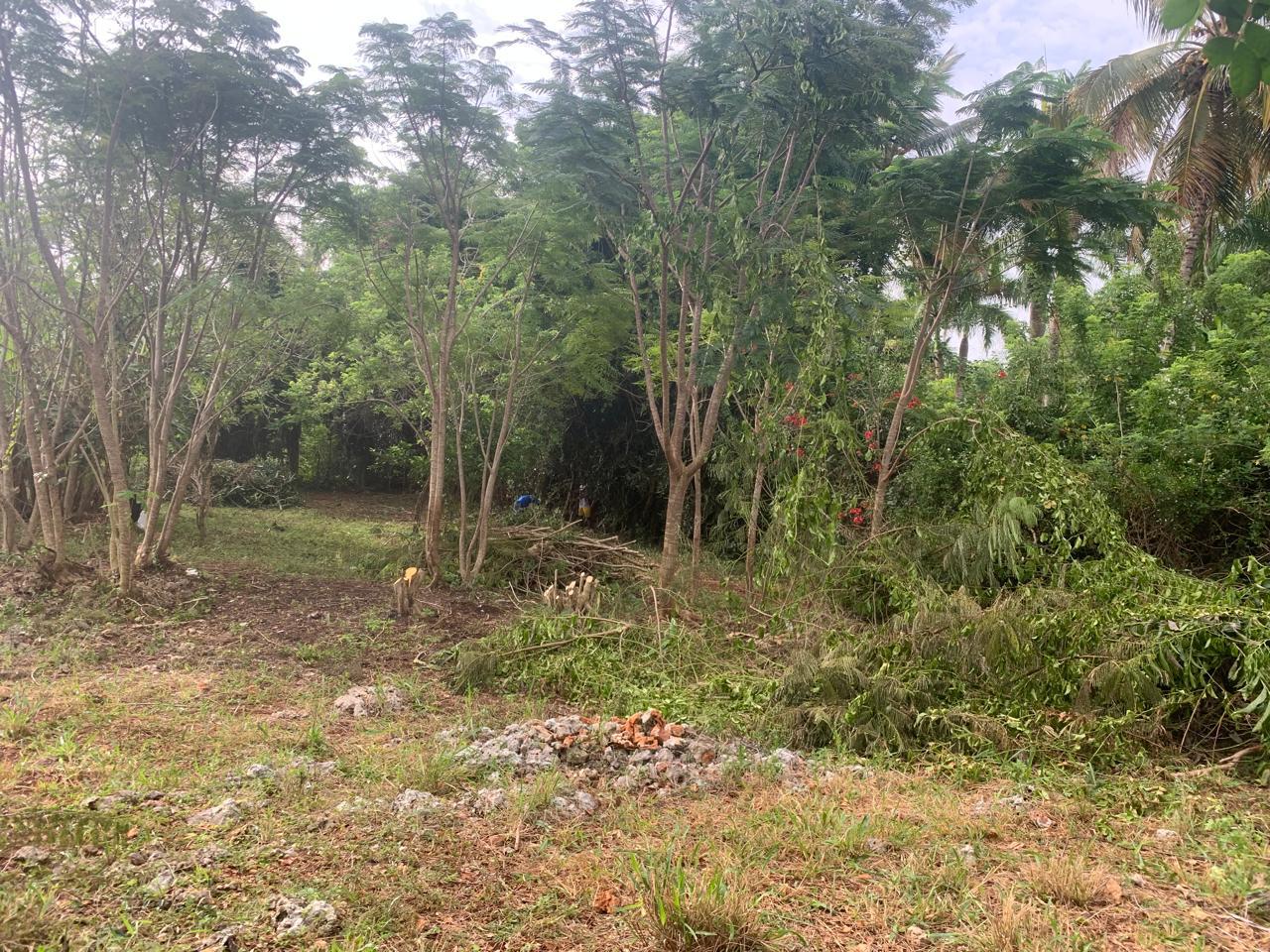 154297-whatsapp_image_2025_12_22_at_14.34.17