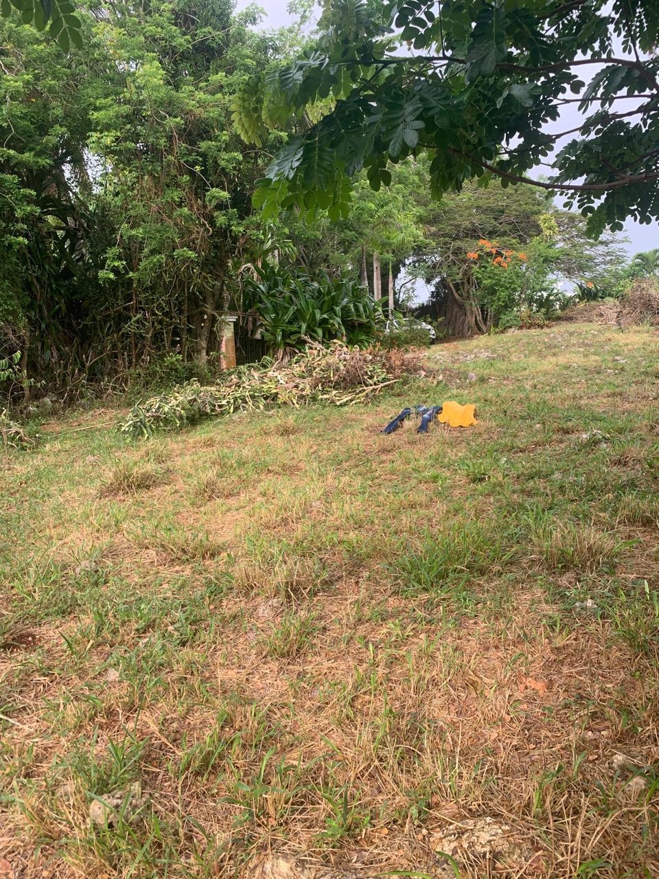 154297-whatsapp_image_2025_12_22_at_14.34.17__1_