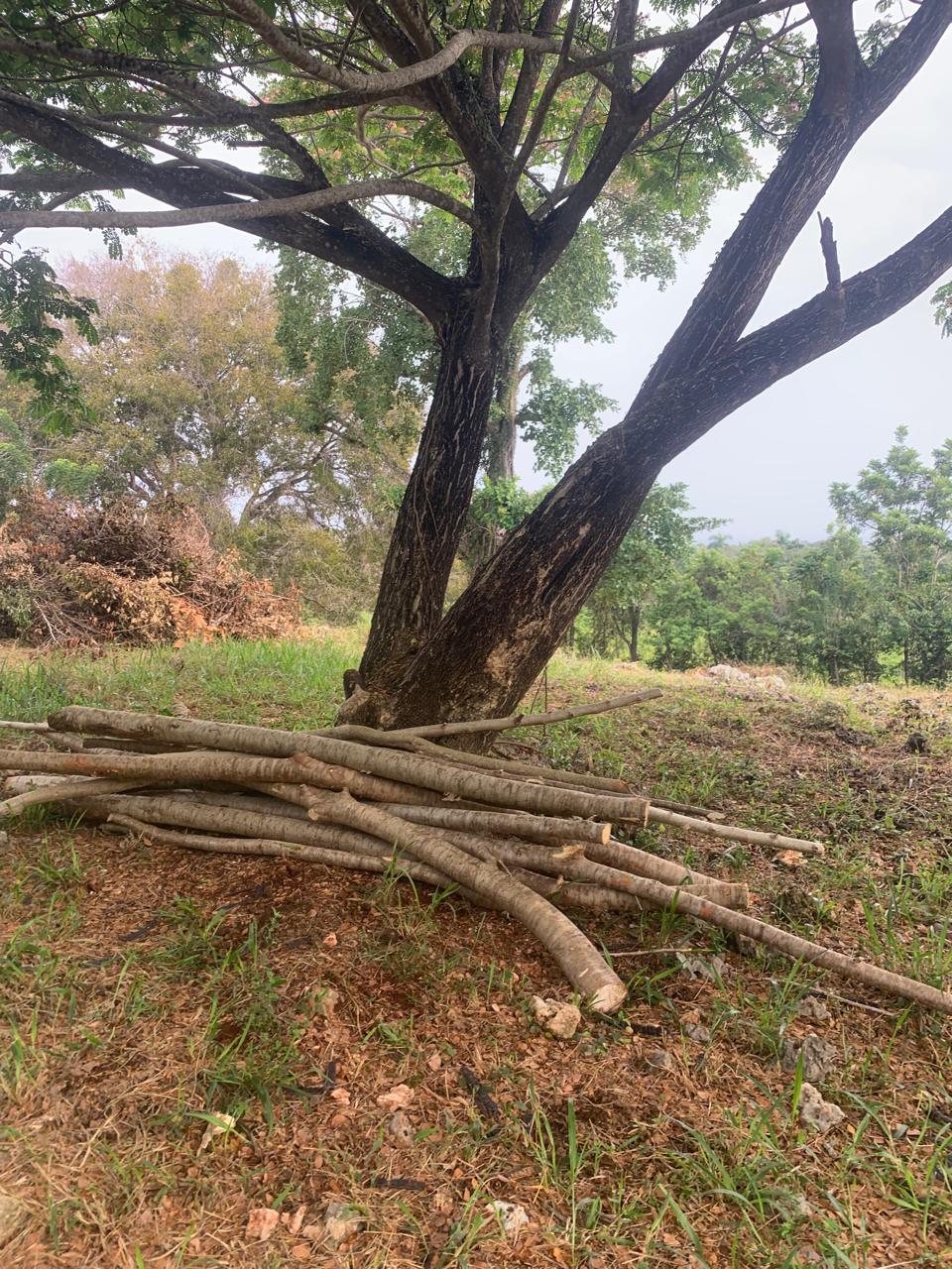 154297-whatsapp_image_2025_12_22_at_14.34.17__2_