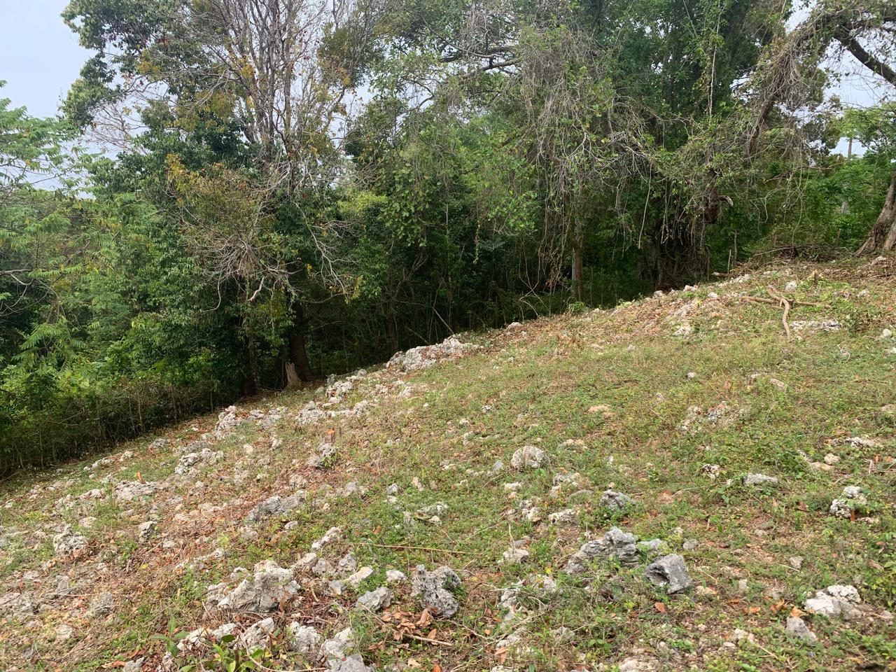 154297-whatsapp_image_2025_12_22_at_14.34.17__3_