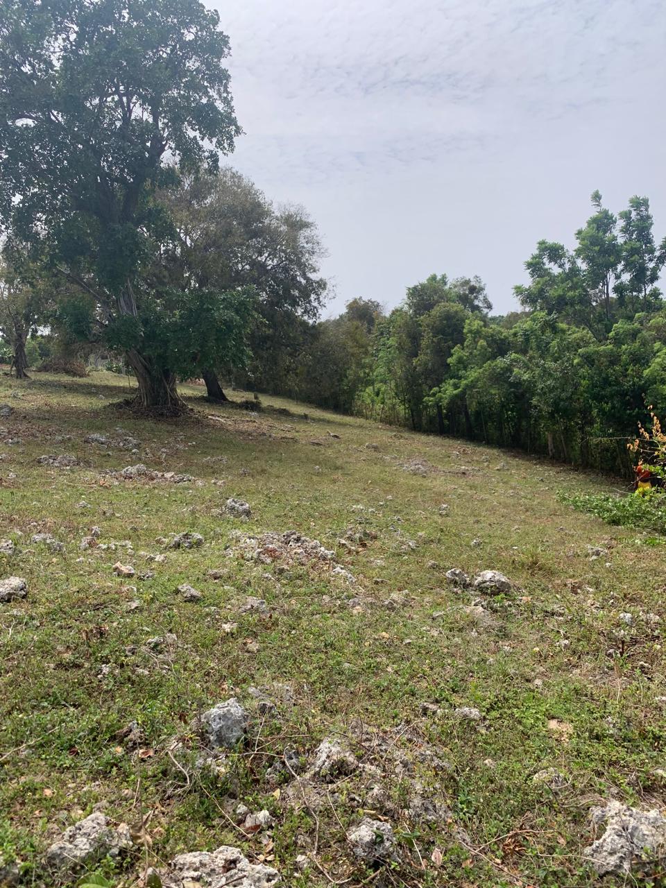 154297-whatsapp_image_2025_12_22_at_14.34.17__4_