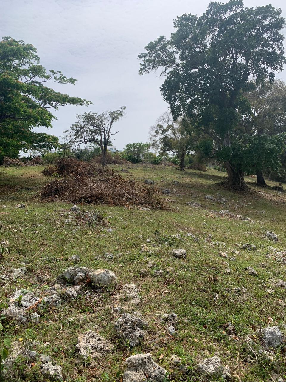 154297-whatsapp_image_2025_12_22_at_14.34.17__5_