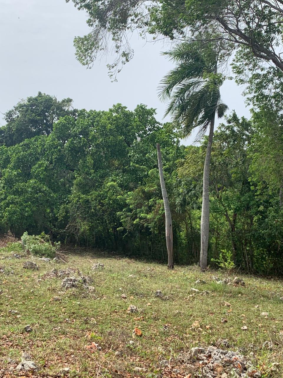 154297-whatsapp_image_2025_12_22_at_14.34.17__6_