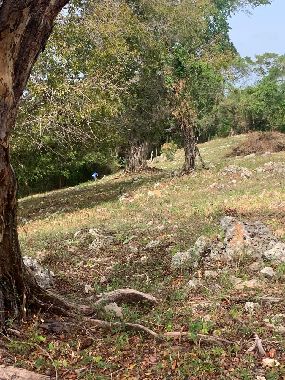 154297-whatsapp_image_2025_12_22_at_14.34.17__7_