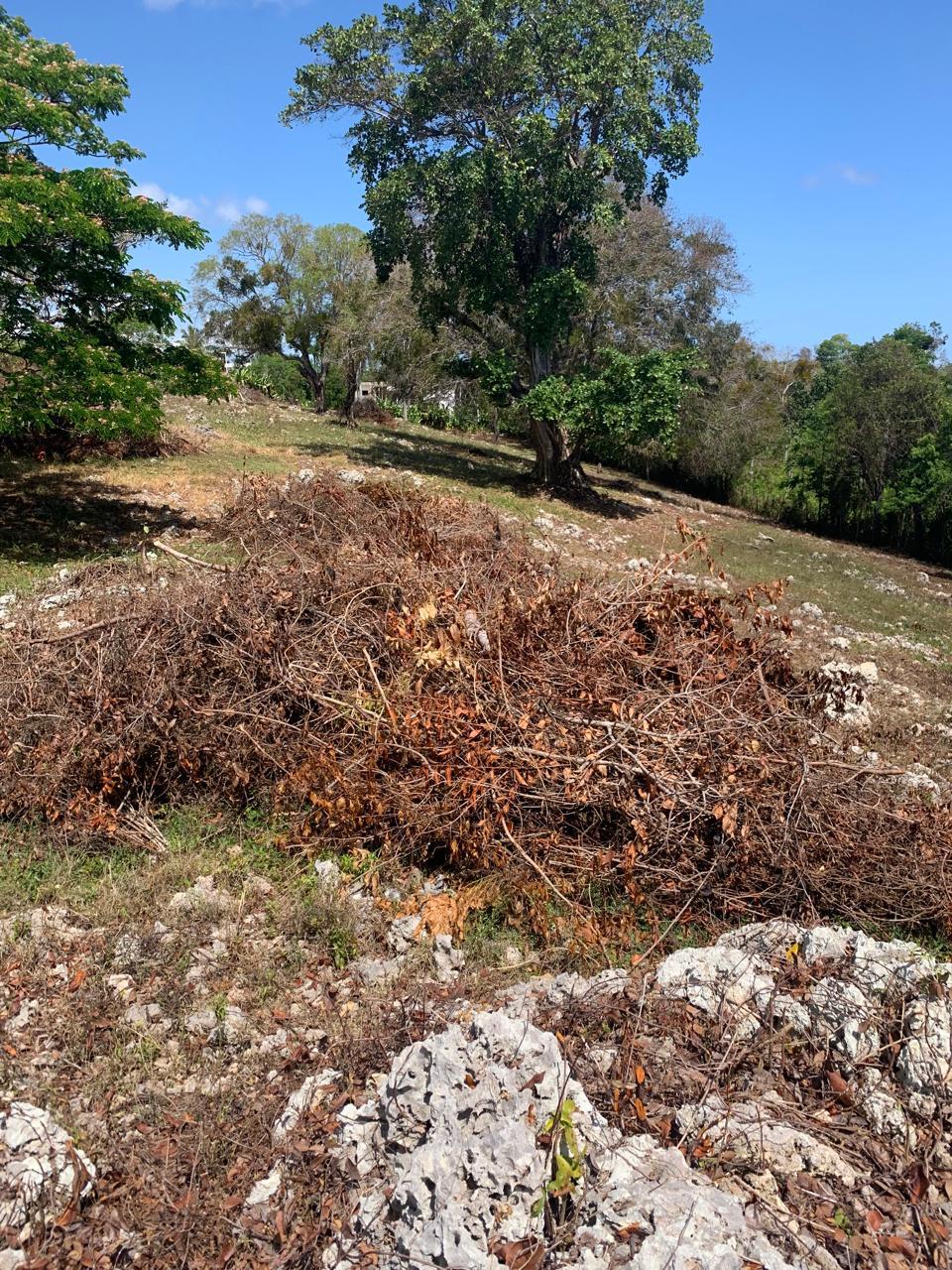 154297-whatsapp_image_2025_12_22_at_14.34.18