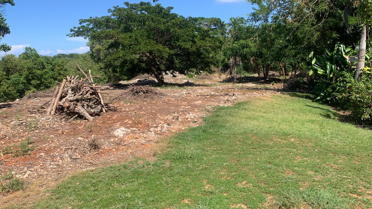 154297-whatsapp_image_2025_12_22_at_14.34.18__10_