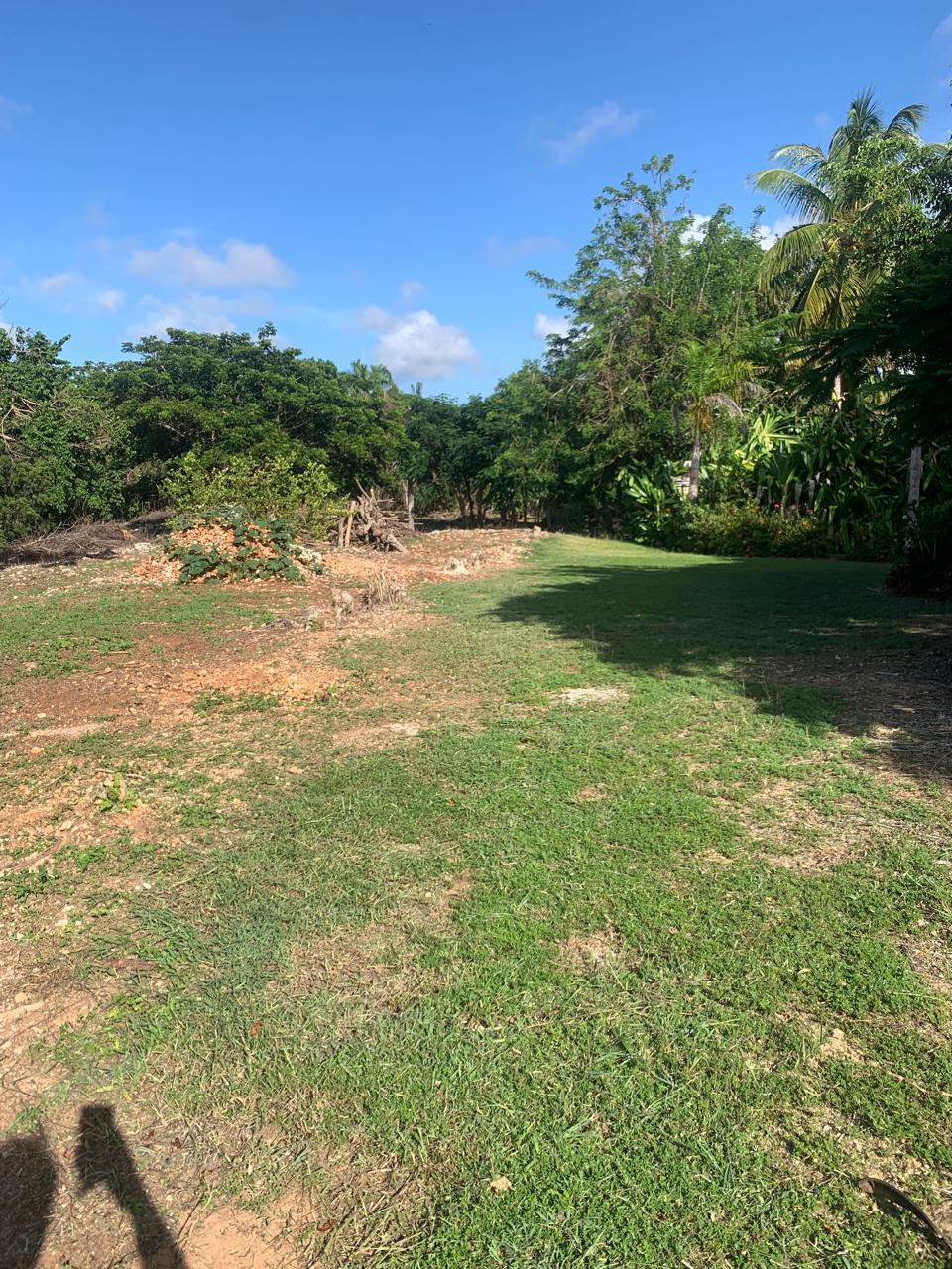 154297-whatsapp_image_2025_12_22_at_14.34.18__11_