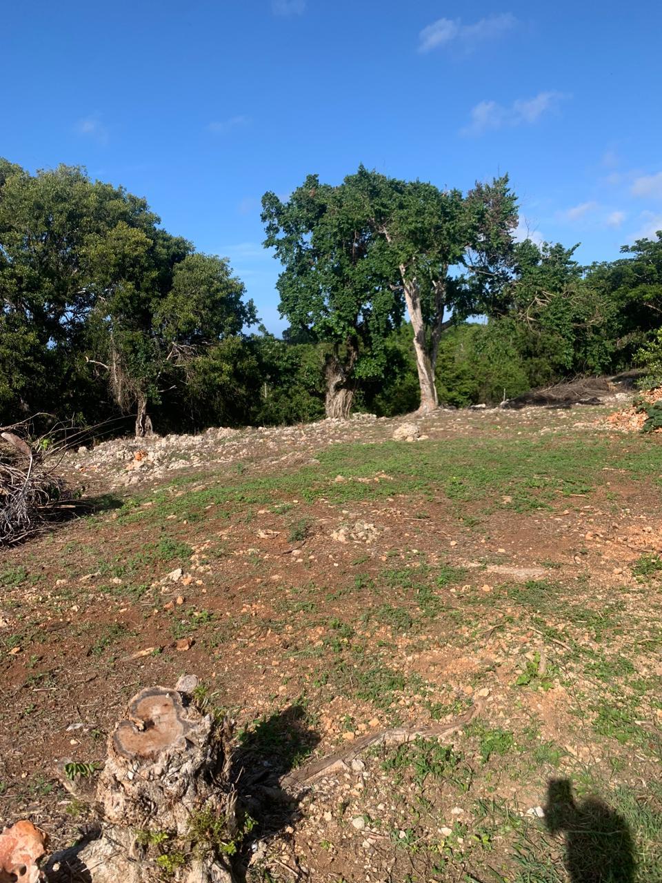 154297-whatsapp_image_2025_12_22_at_14.34.18__12_