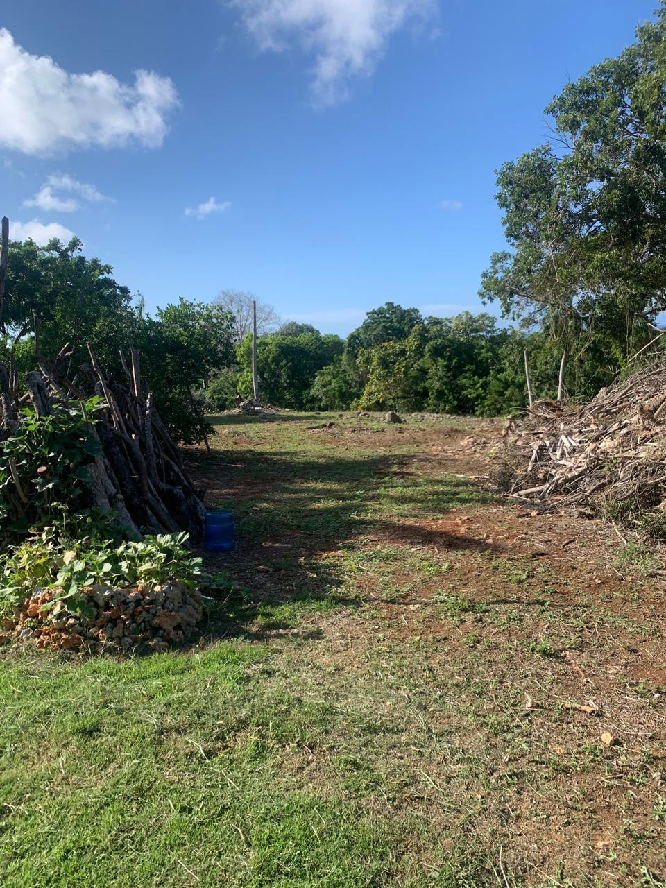 154297-whatsapp_image_2025_12_22_at_14.34.18__13_